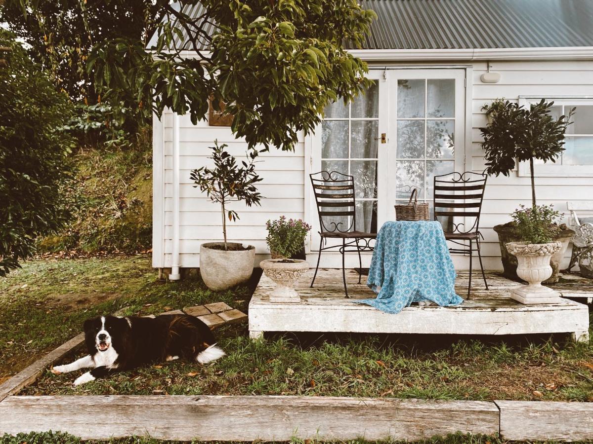 Thistle And Pine Cottage Farmstay Tauranga Bagian luar foto